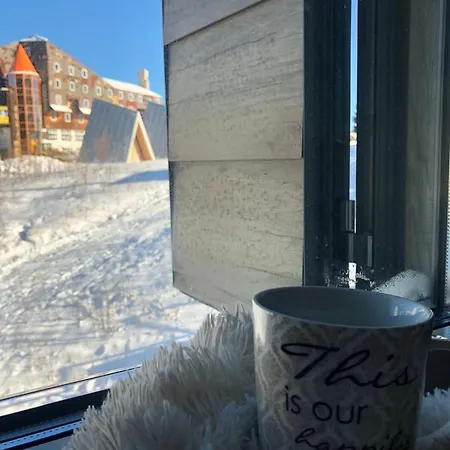 01 * بيلاسنيكا